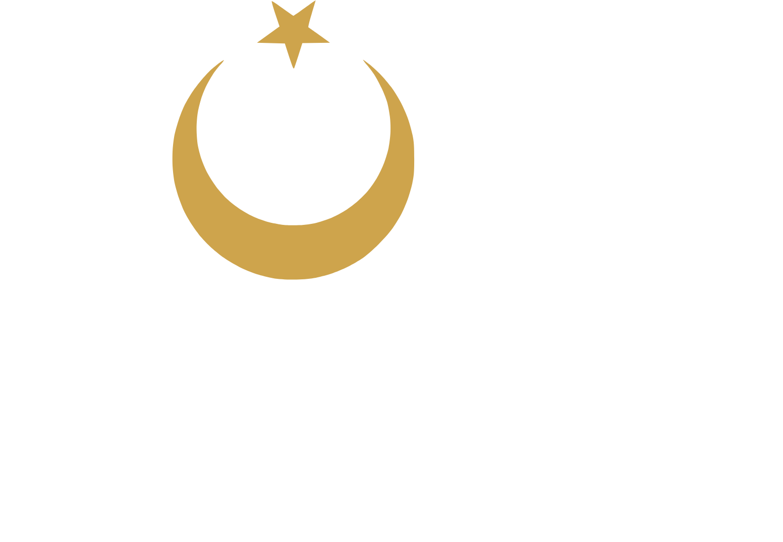 Türk Altın